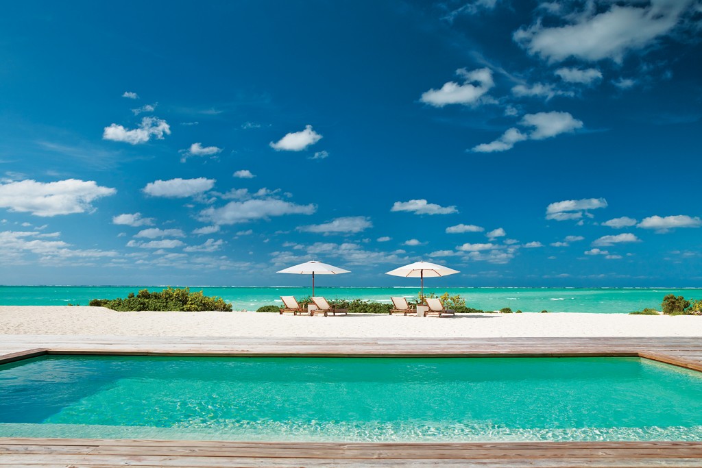 parrot cay Turks and Caicos