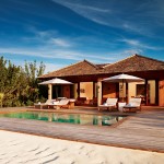 parrot cay Turks and Caicos