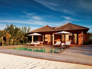 parrot cay Turks and Caicos