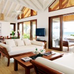 parrot cay Turks and Caicos