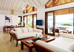 parrot cay Turks and Caicos