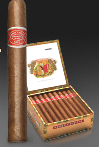 The Perfect Match: The Ultimate Cigar and Whiskey Pairings