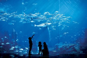 ba534880-b72b-41f4-97aa-c8d992983f61