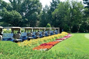 c807905e-e73c-4c5e-a2d6-b73bf21458ab