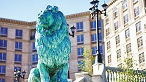 Local Developer Fred Daibes: A Reflection of Community