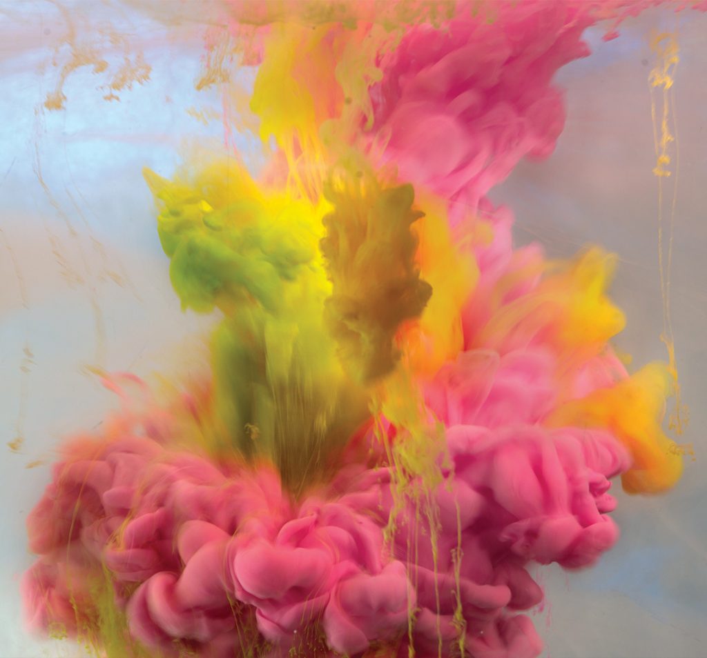 kim keever
