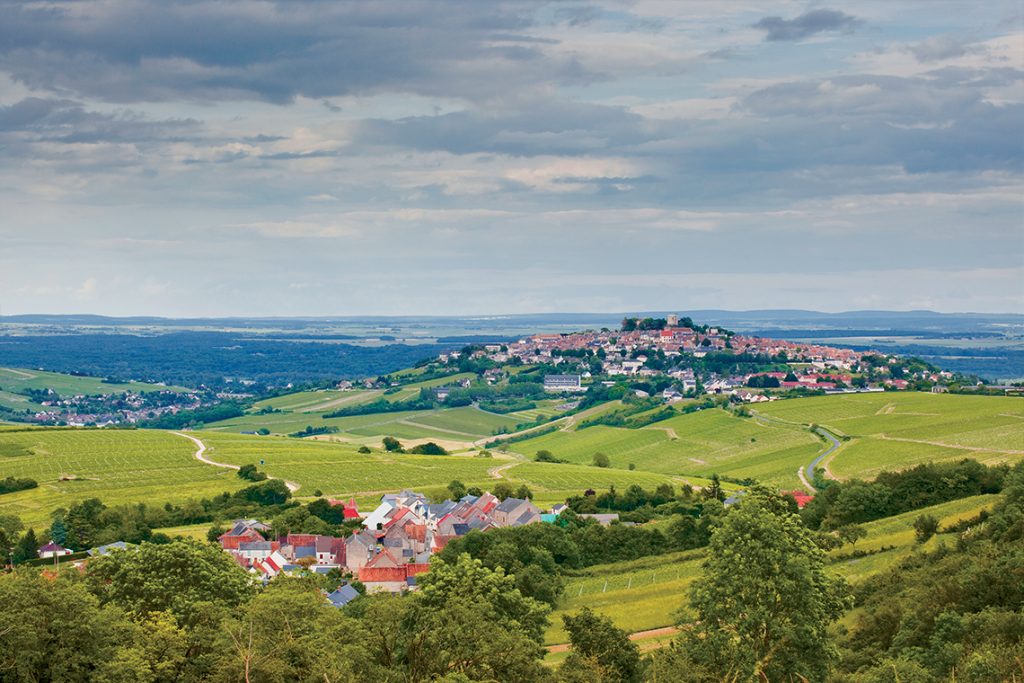 Sauvingon Blanc