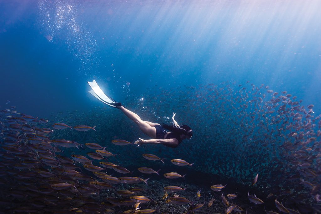 freediving