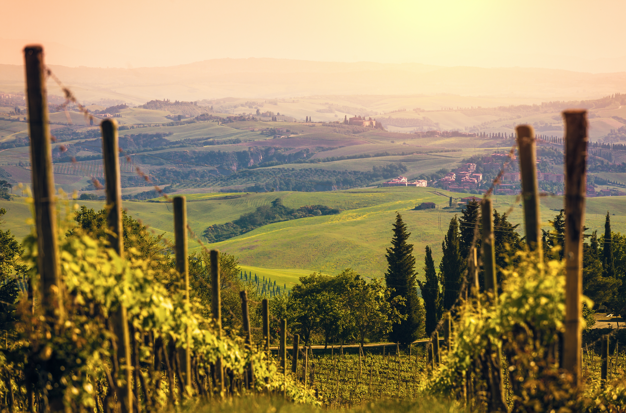 medieval relevance of Siena