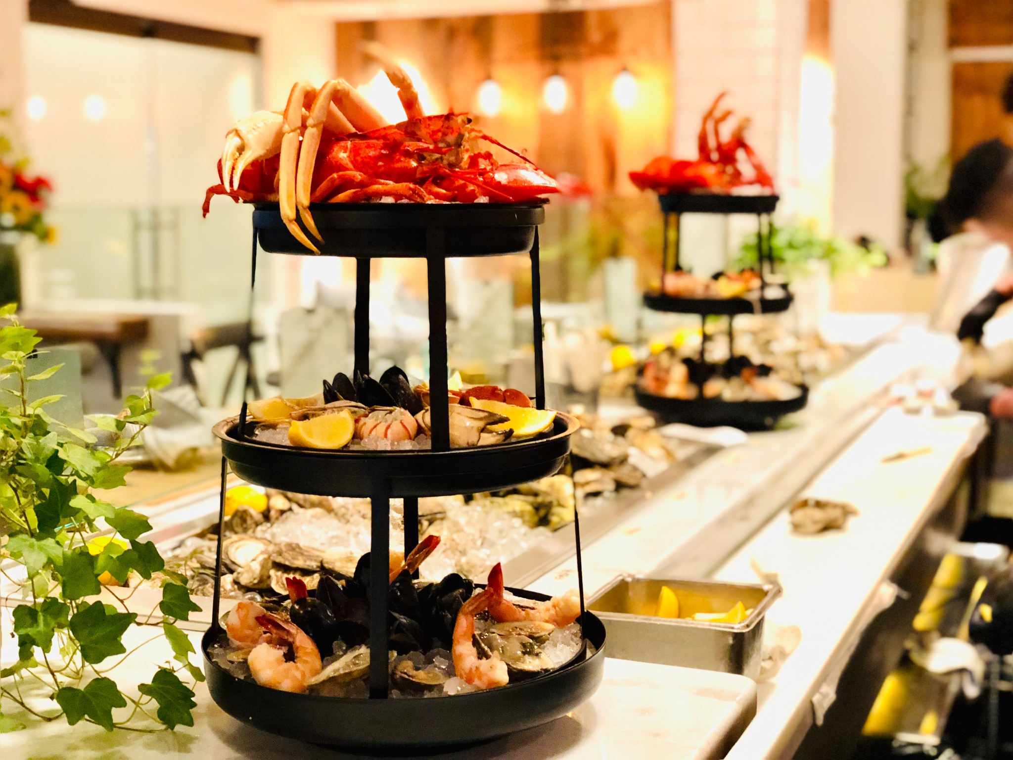 Salt Seafood and Oyster Bar