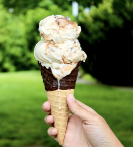 top ice cream spots in NJ