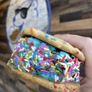 top ice cream spots in NJ